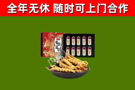 吉安回收冬虫夏草价格